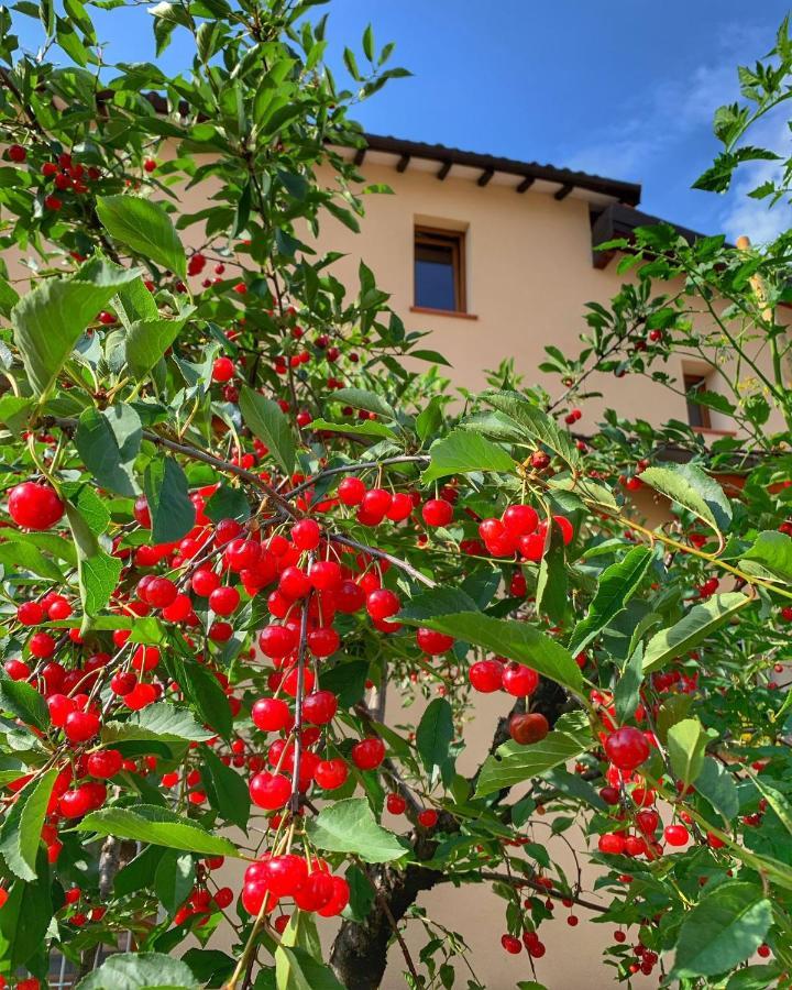 Casa Due Marie Marano Sul Panaro Hotel Luaran gambar