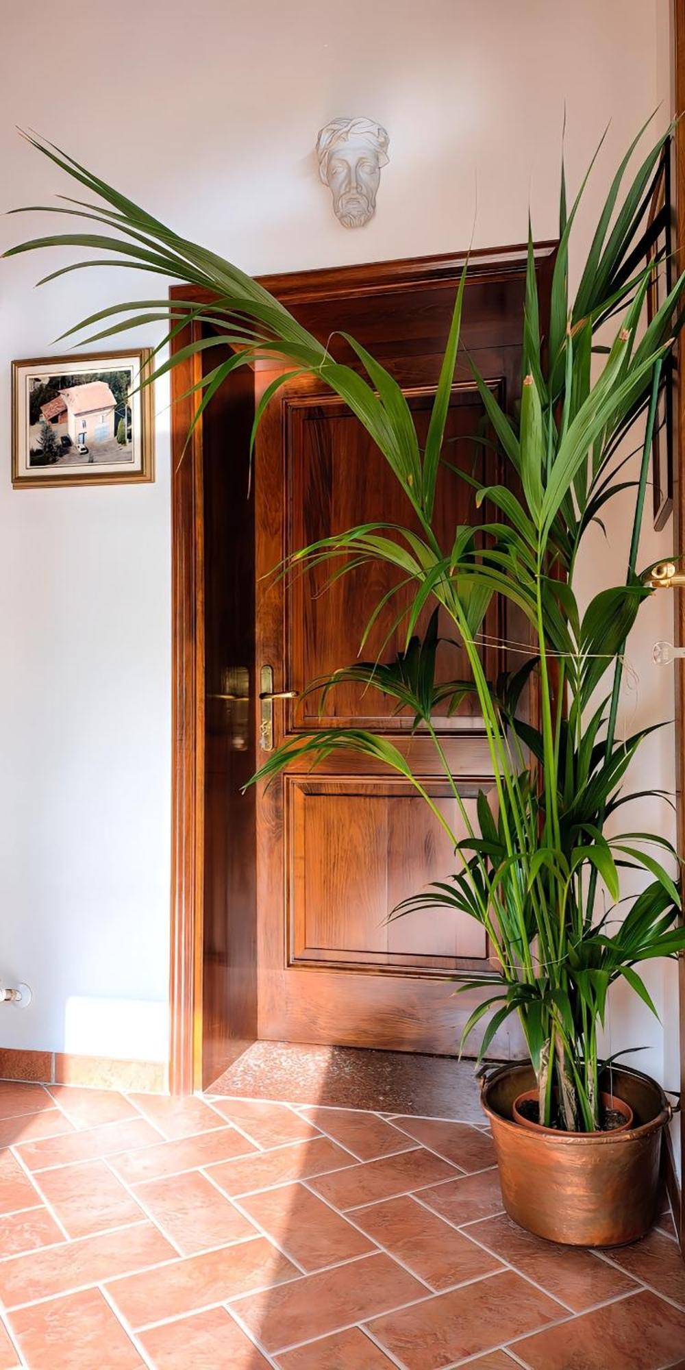 Casa Due Marie Marano Sul Panaro Hotel Luaran gambar